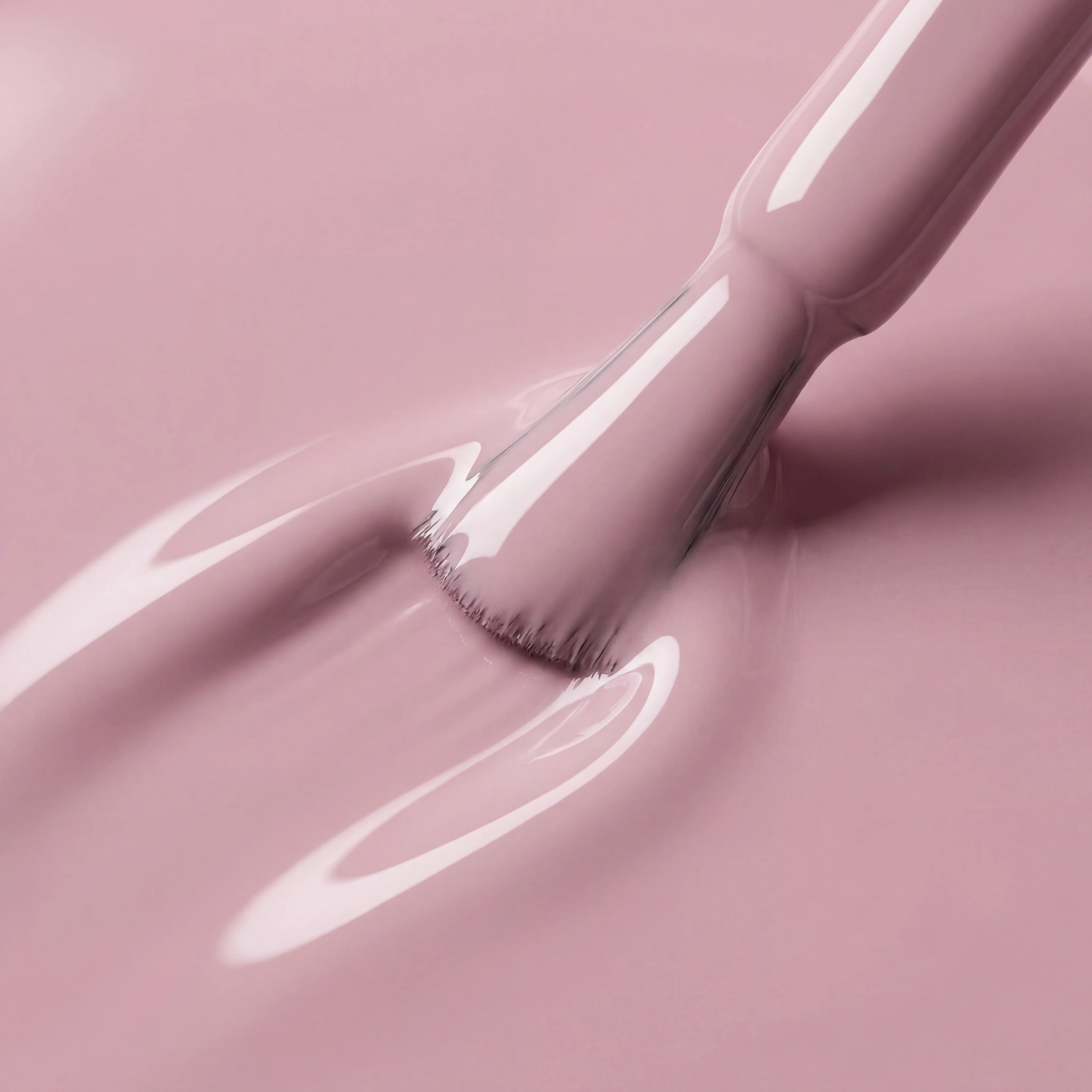 023 orchid