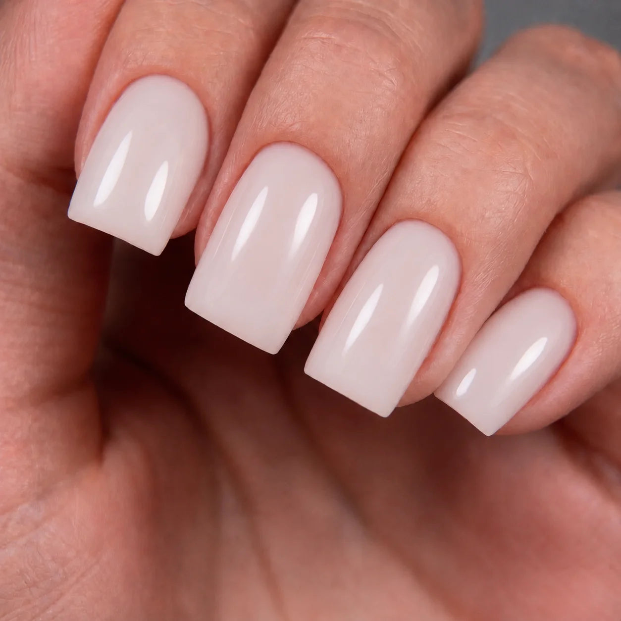 B004_Rose_des_Vents_Elegelli_2